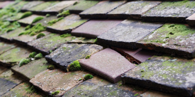 Chesterton roof repair costs